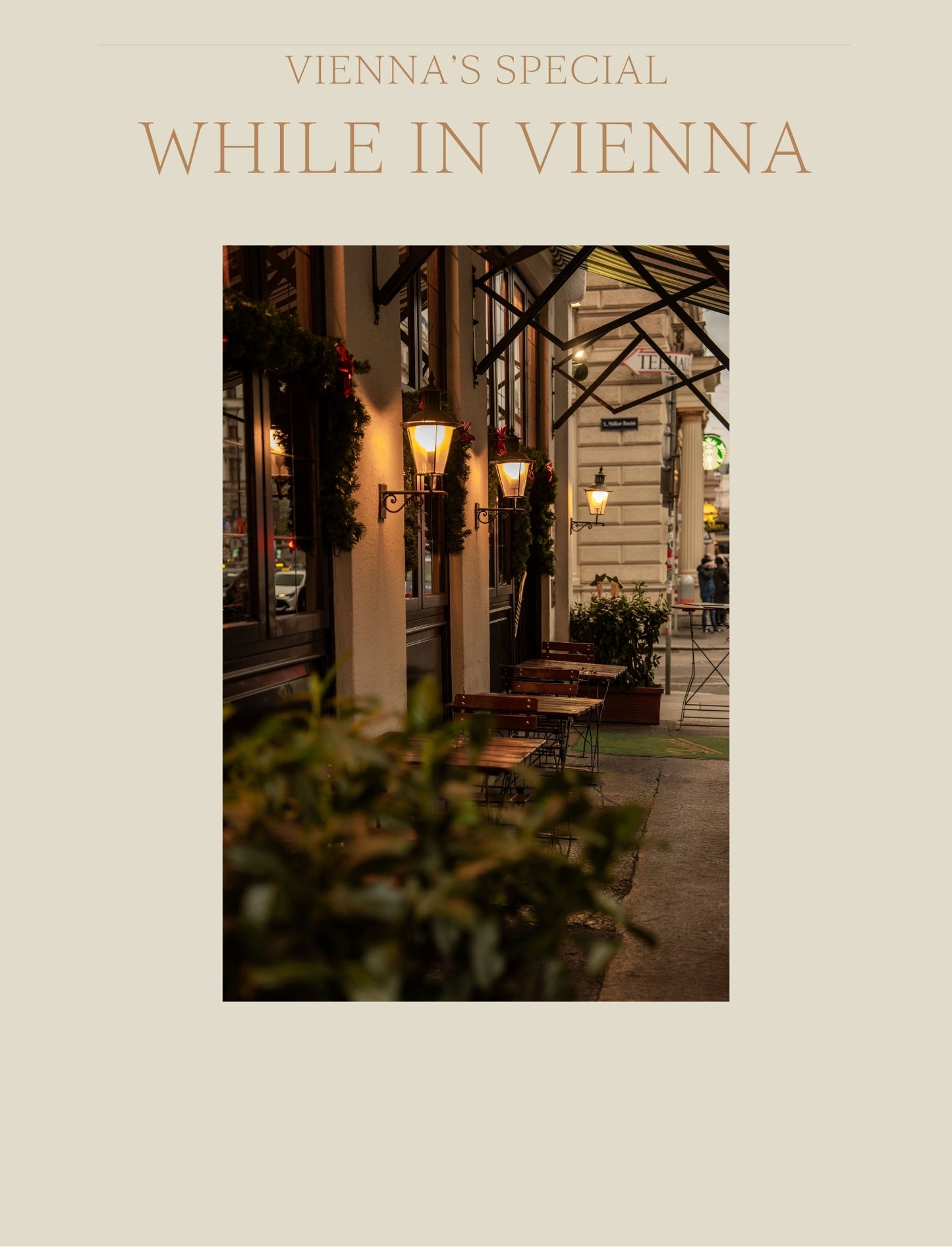 A guide to Vienna at Christmas - the cover page for the 'While in Vienna' section, by Simply Slow Traveler Traveler