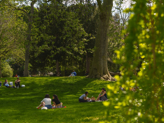 People sitting in the grass doing picnics under the shade the trees at Parc Monceau, in Paris