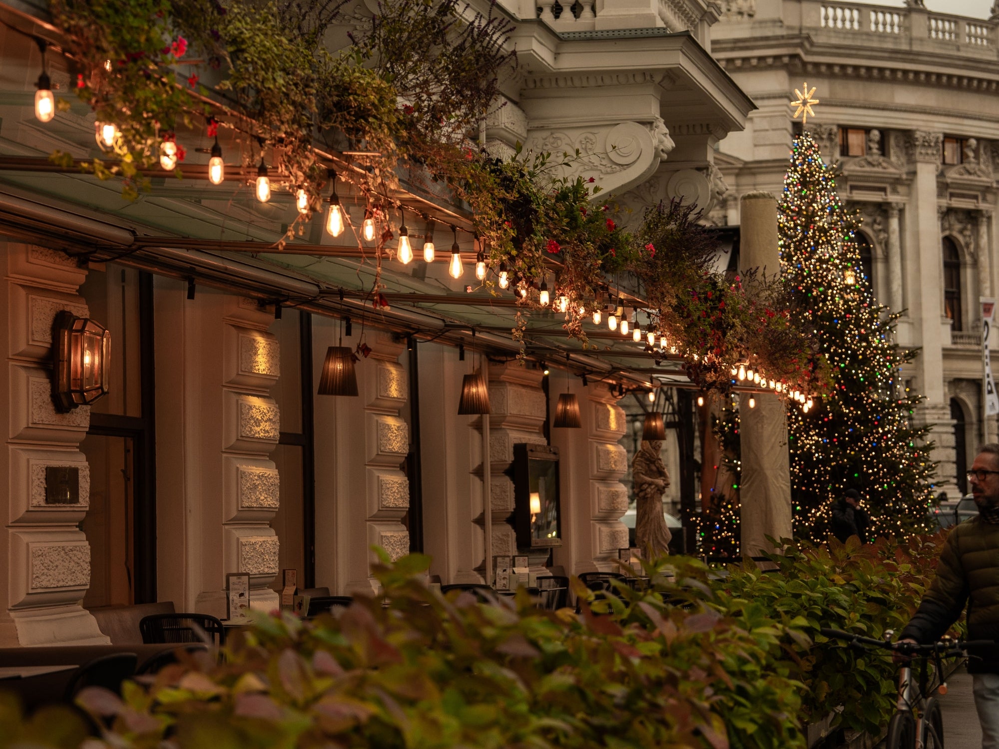 A restaurant terrace fully decorated for Christmas with beautiful Illuminations and a large Christmas Tree, in Vienna