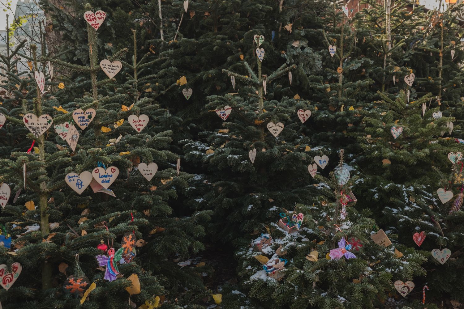 Christmas tree with written wooden hearts and other ornaments.