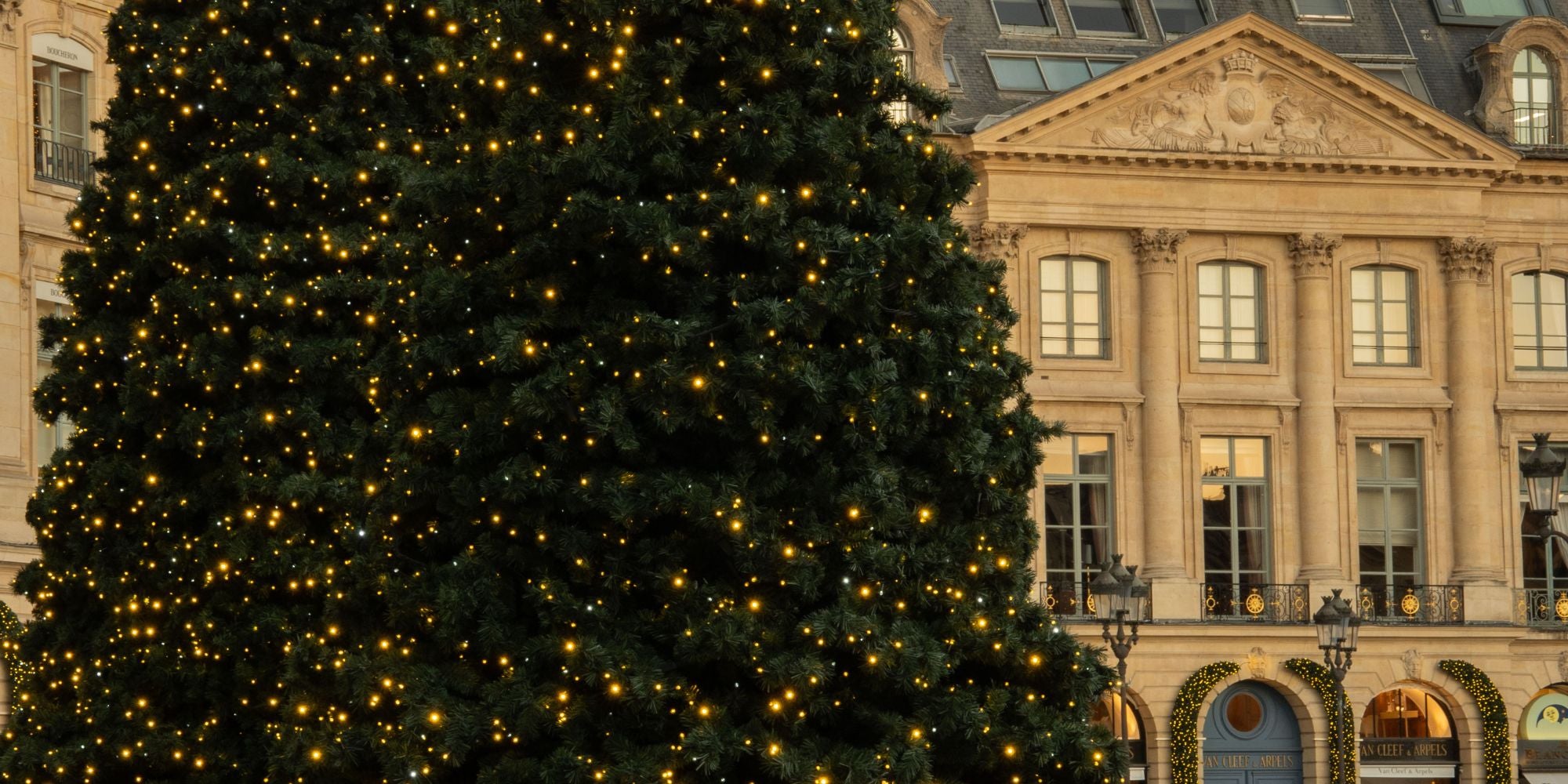 Christmas tree in the center of a square in Paris, surrounded by classic beige buildings with lights and adornments.