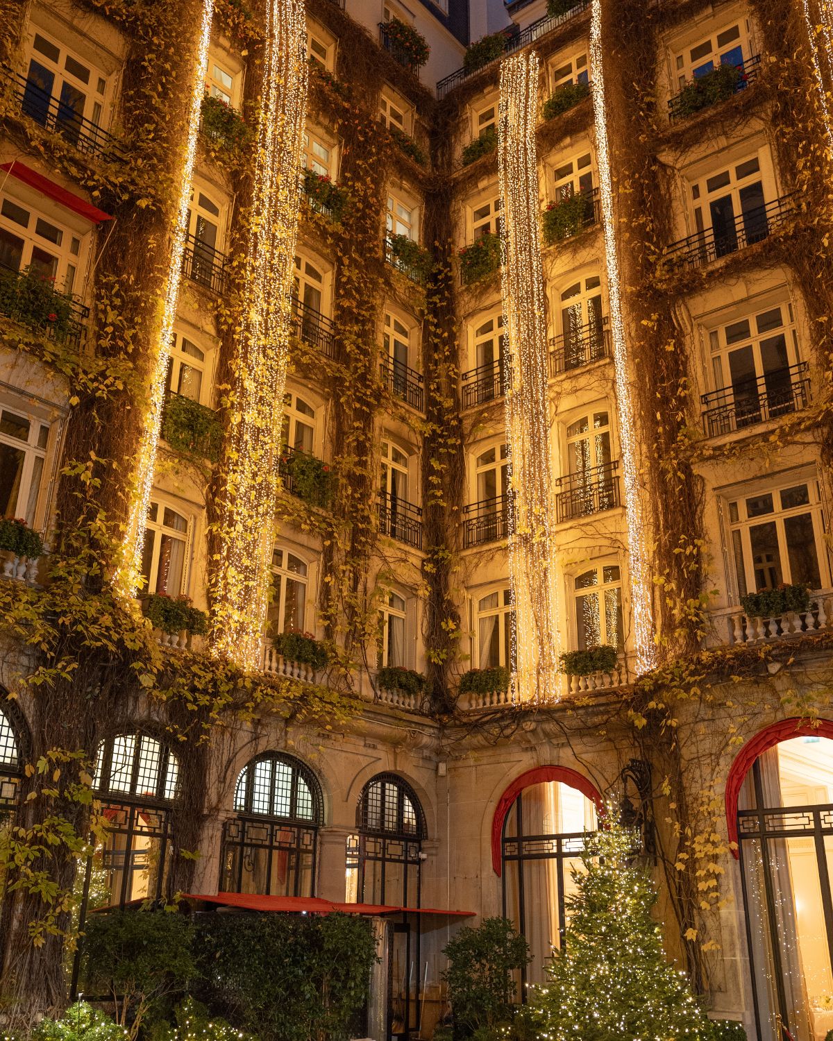 A highly ornamented classic building with Christmas lights.