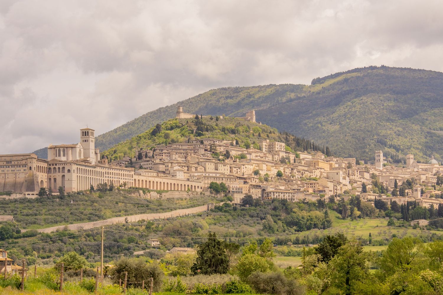 Golden picturesque village amidst a green valley and vines.