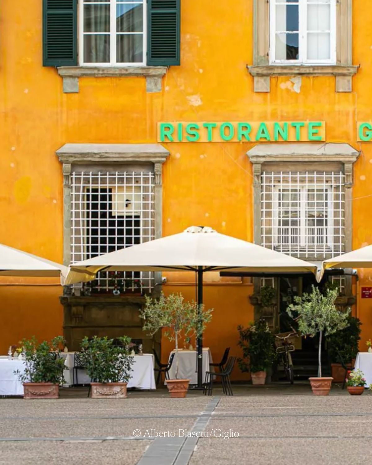 Bright yellow restaurant facade, with white sunshades, white linen tables and black ornamented chairs. Dark green shutters.