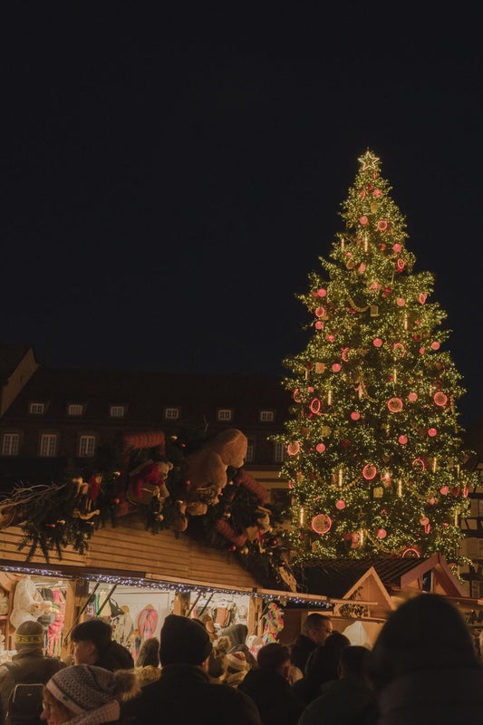 Top 3 Christmas Markets to Visit in Strasbourg