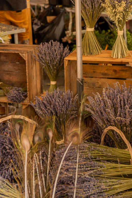 The Best French Markets in Provence