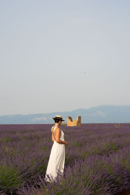 The Perfect 1-Day Guide to Provence