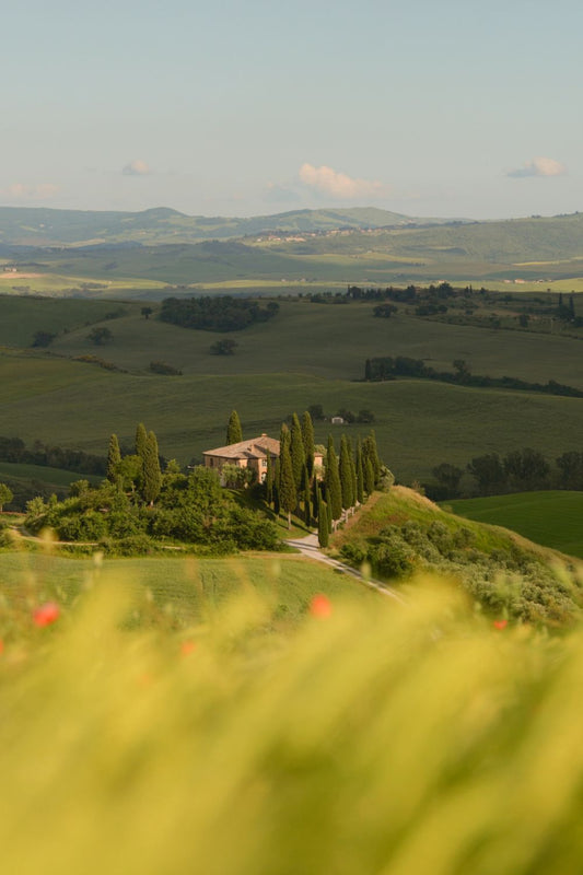 Best Towns and Regions in Tuscany to Set Base