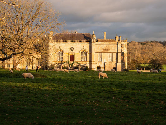 The Abbey at Lacock, Cotswolds, in the late afternoon, with sheep roaming and grazing in the meadows around it.