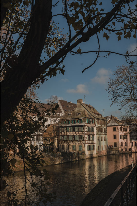 The Petite France neighbourhood in Strasbourg, with the traditional half-timbered houses across the canal