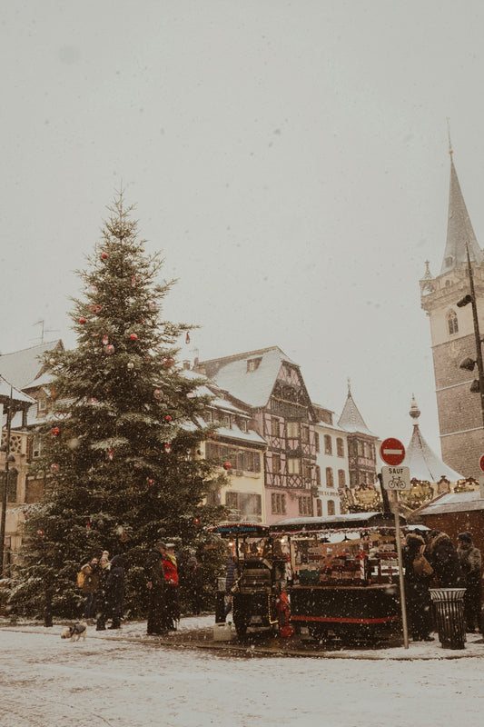 The Christmas tree and the Christmas market in the main square at Obernai, in Alsace, on a snowy morning