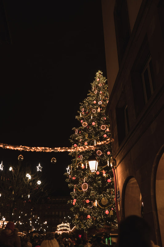 Evening views of the illuminated Grand Sapin, or Big Christmas Tree, in Place Kléber, in Strasbourg, Alsace