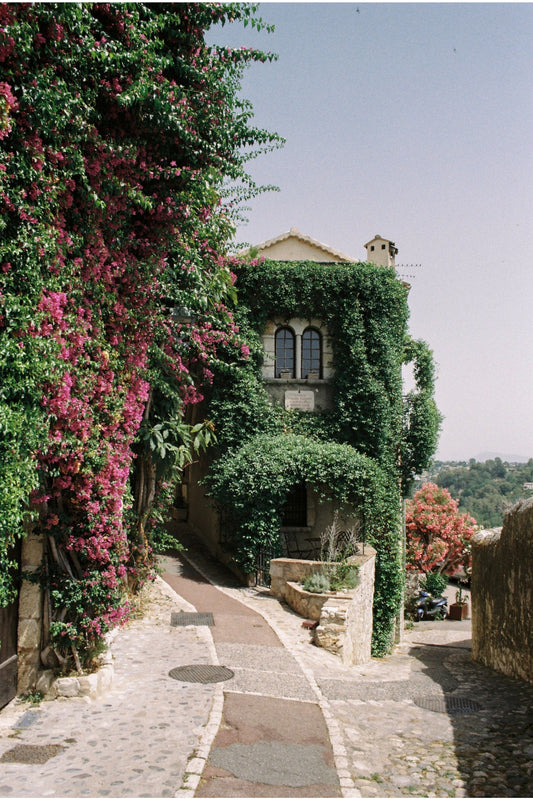 Stone house covered in Bougainvilleas in bloom in the medieval hilltop village of Saint-Paul-de-Vence, in the South of France