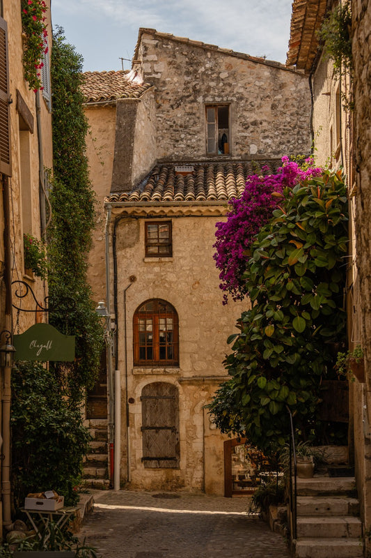 A cobbled street with ancient stone houses covered in hydrangeas and Bougainvilleas, in the French Riviera