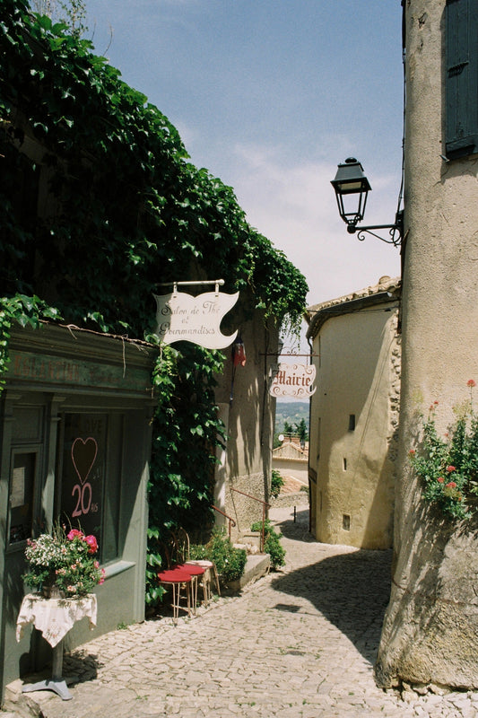 Medieval village of Séguret, in Provence, with cobbled streets and vines covering the façades