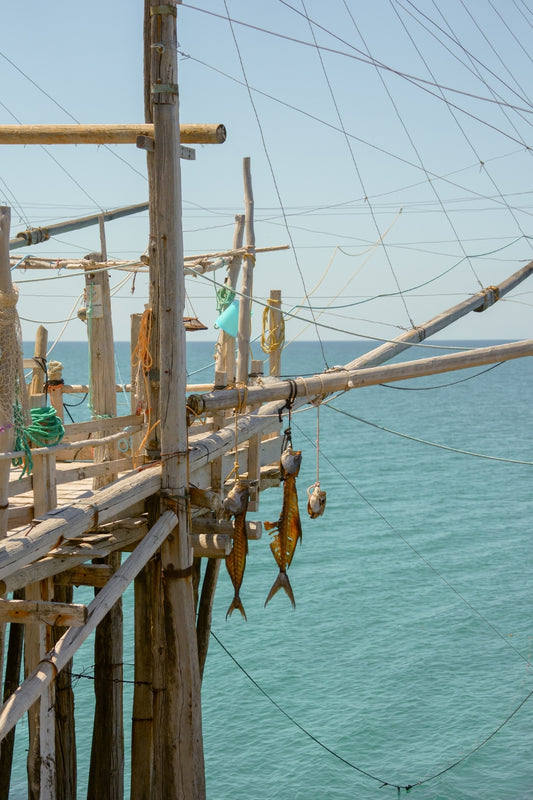 The views from the restaurant Al Trabucco da Mimi, in the Gargano Peninsula, in Puglia