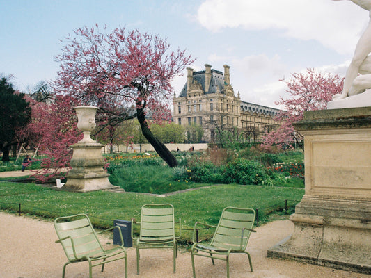 Jardin des Tuileries in an early Spring afternoon, with flowery gardens and blossiming cherry trees