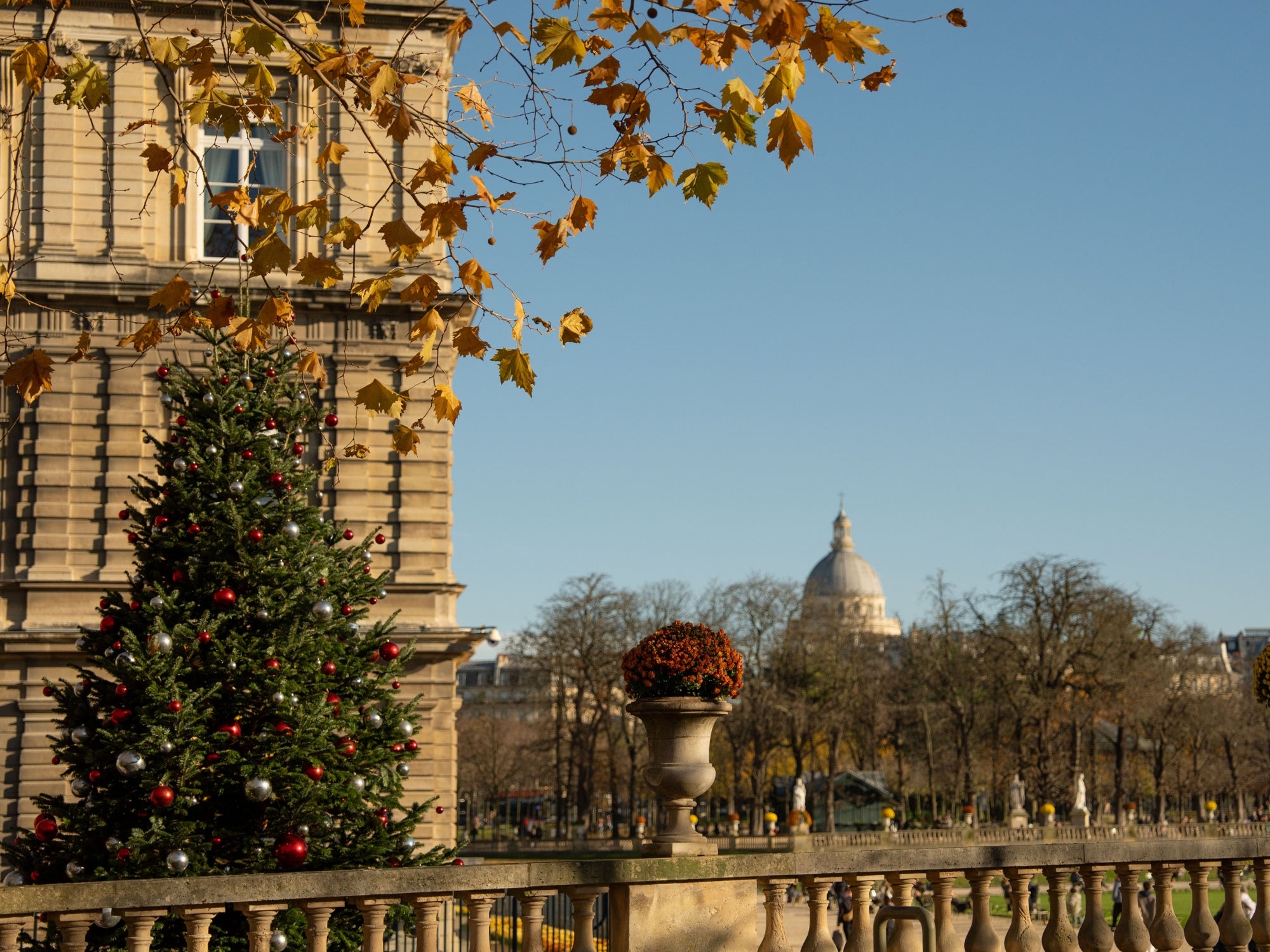 The decorated Christmas Tree at Jardin du Luxembourg on a late November afternoon