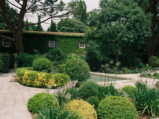 The gardens of the restaurant La Cabro d'Or, near Baux-de-Provence, in Provence