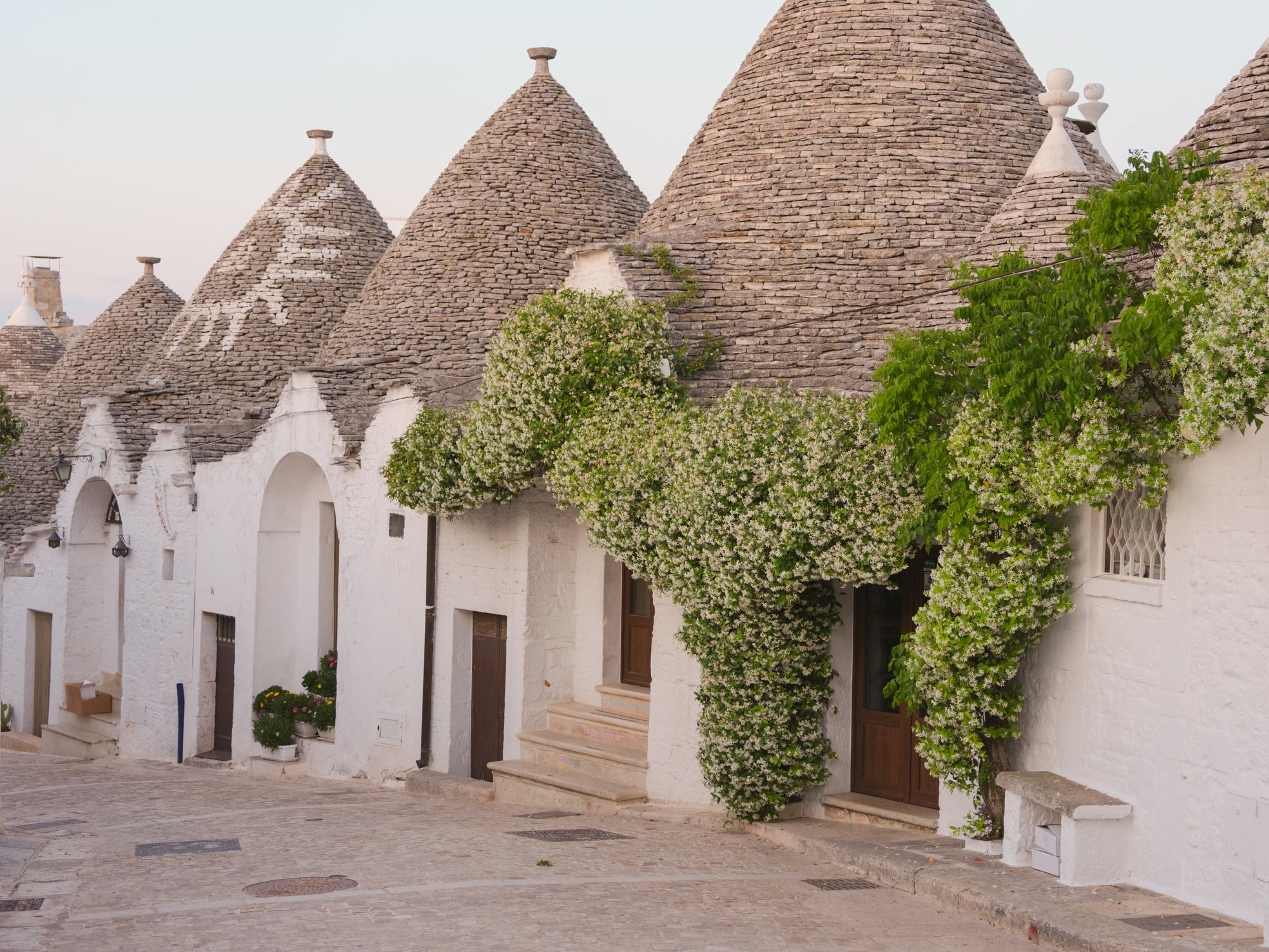 The trulli of Alberobello, Puglia, covered in Jasmin at sunset