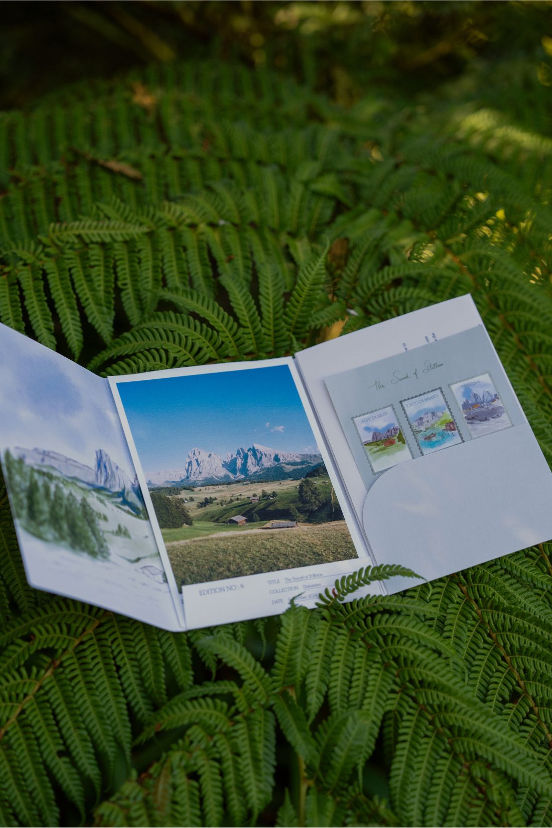 The open fold-out from the September 2026 'Dolomites' edition of Simply Slow Mail, by Simply Slow Traveler, where the illustration on the interior of the fold-out, as well as one of the postcards and the sticker sheet can be seen