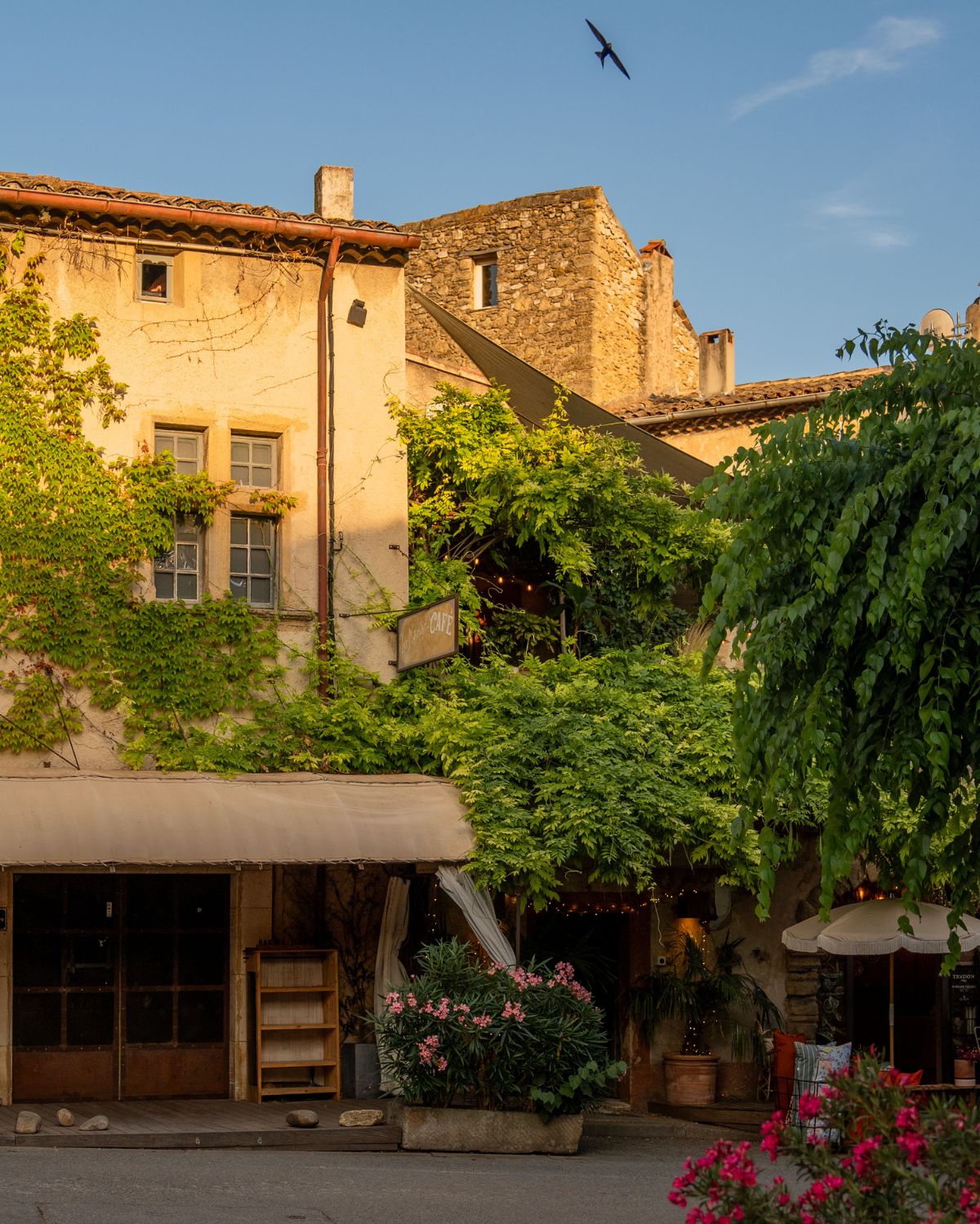 Cobblestone street in Lourmarin with climbing plants.