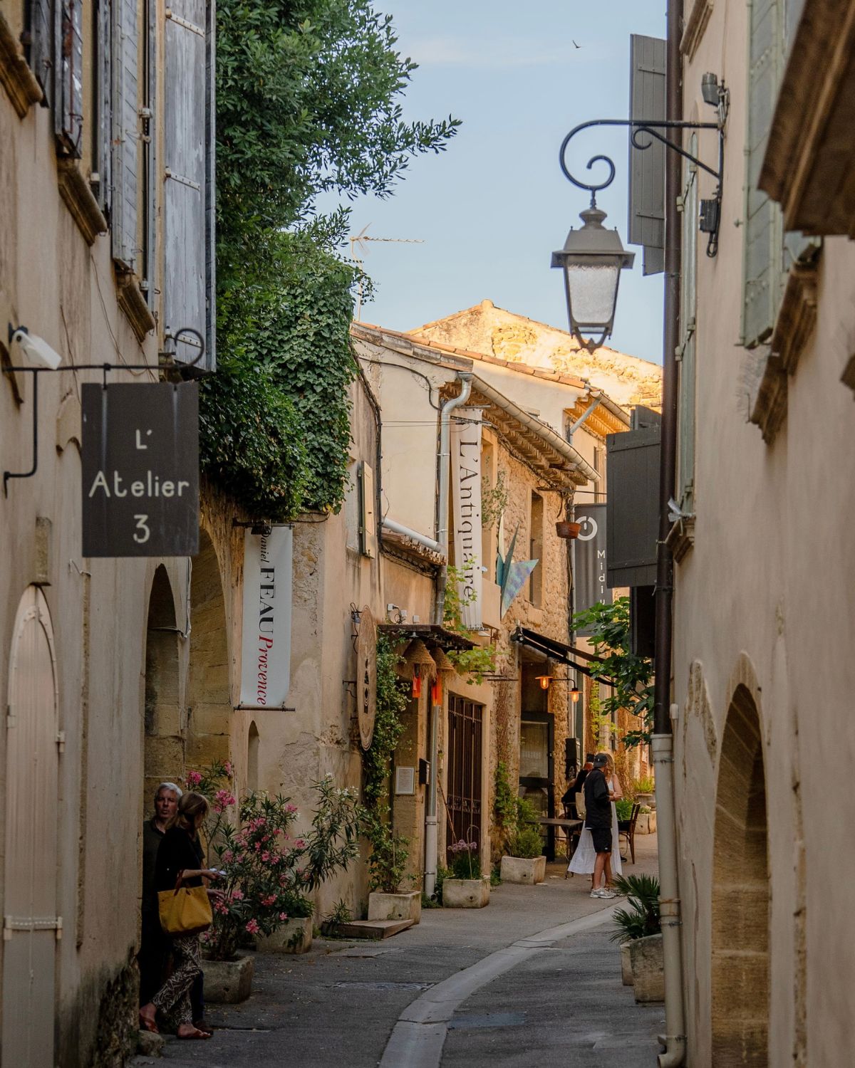 Cobblestone street in Lourmarin with climbing plants and pastel toned shuttered windows.