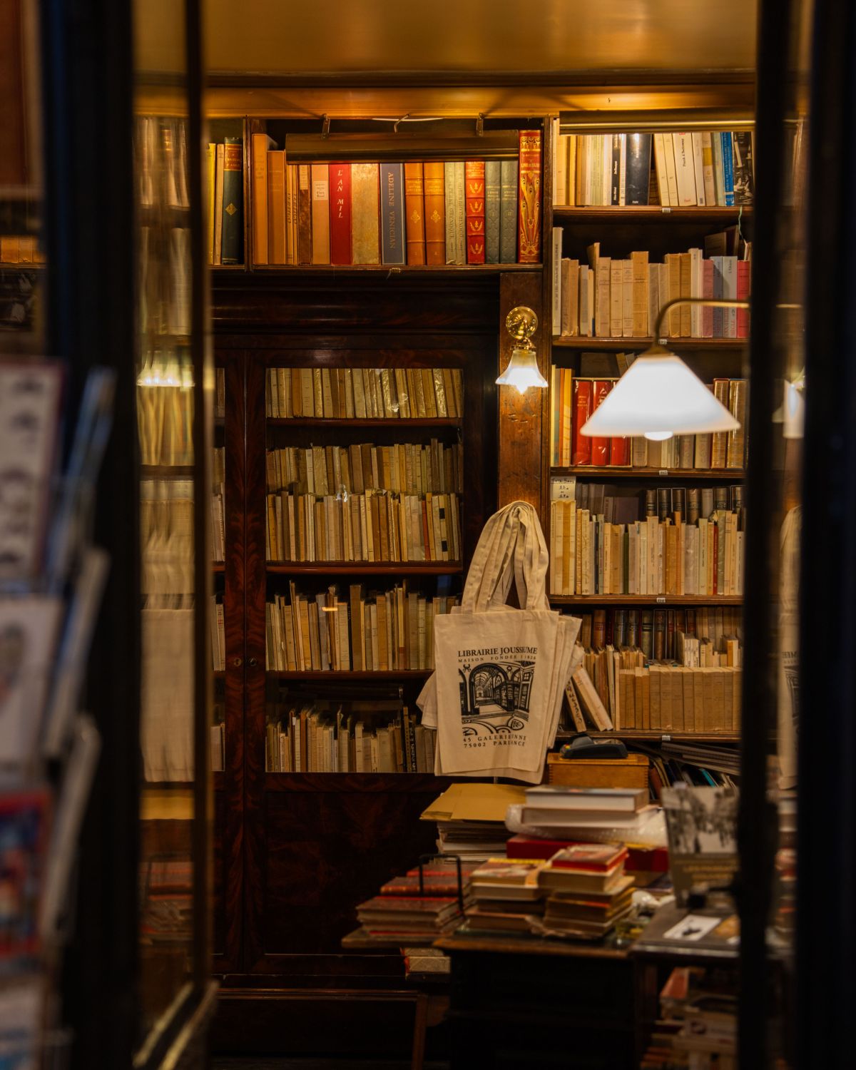 Library setting with dark wood shelves and multiple books.