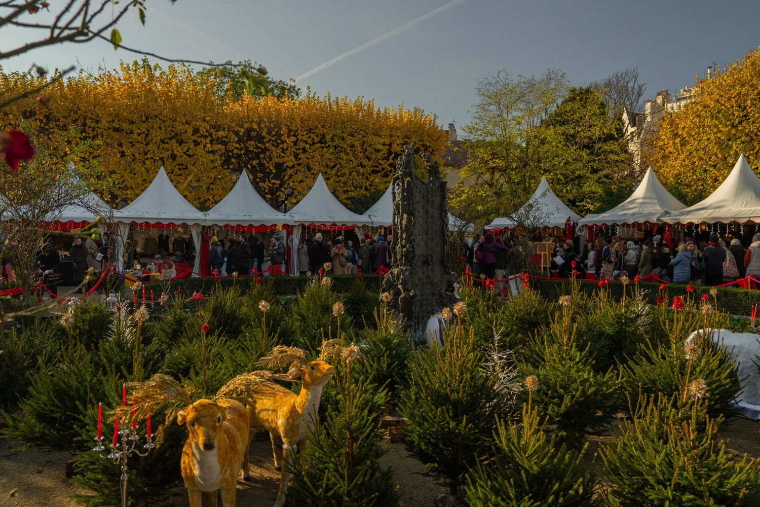 Christmas market in French garden, with high trees and bushes, white tends and red ornaments.