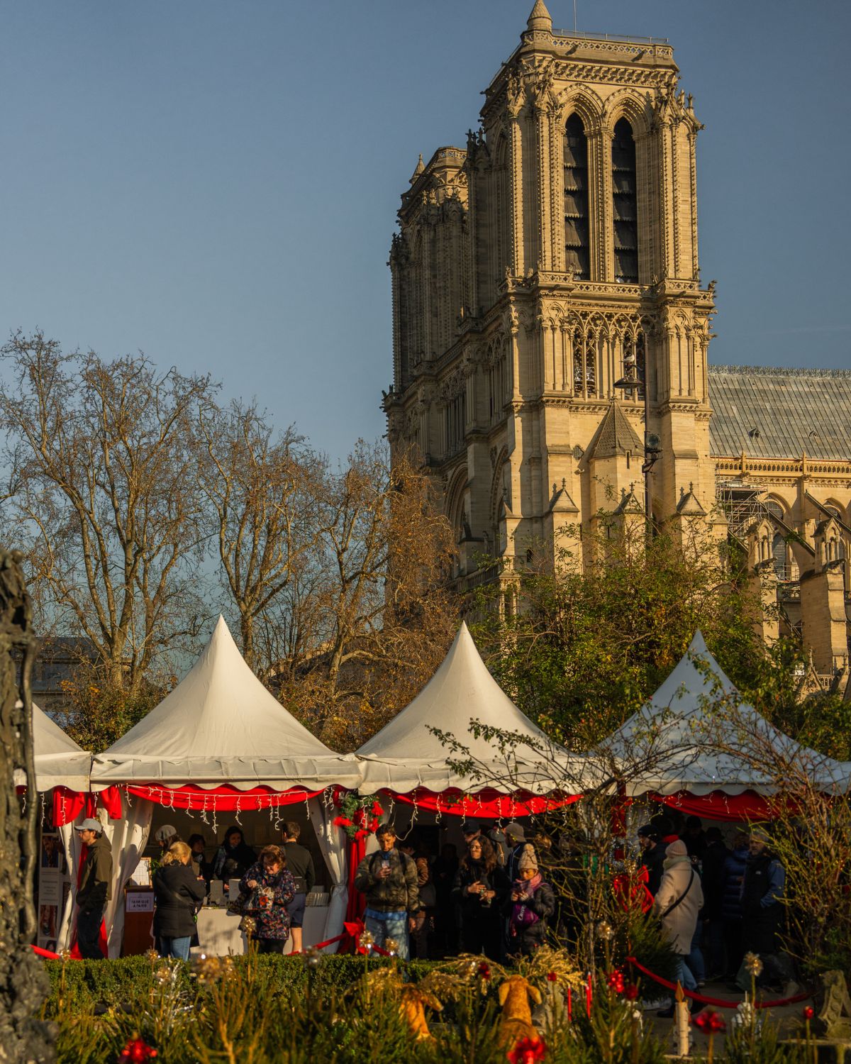 Notre Dame behind a Christmas market in the park, with white tends and red ornaments.