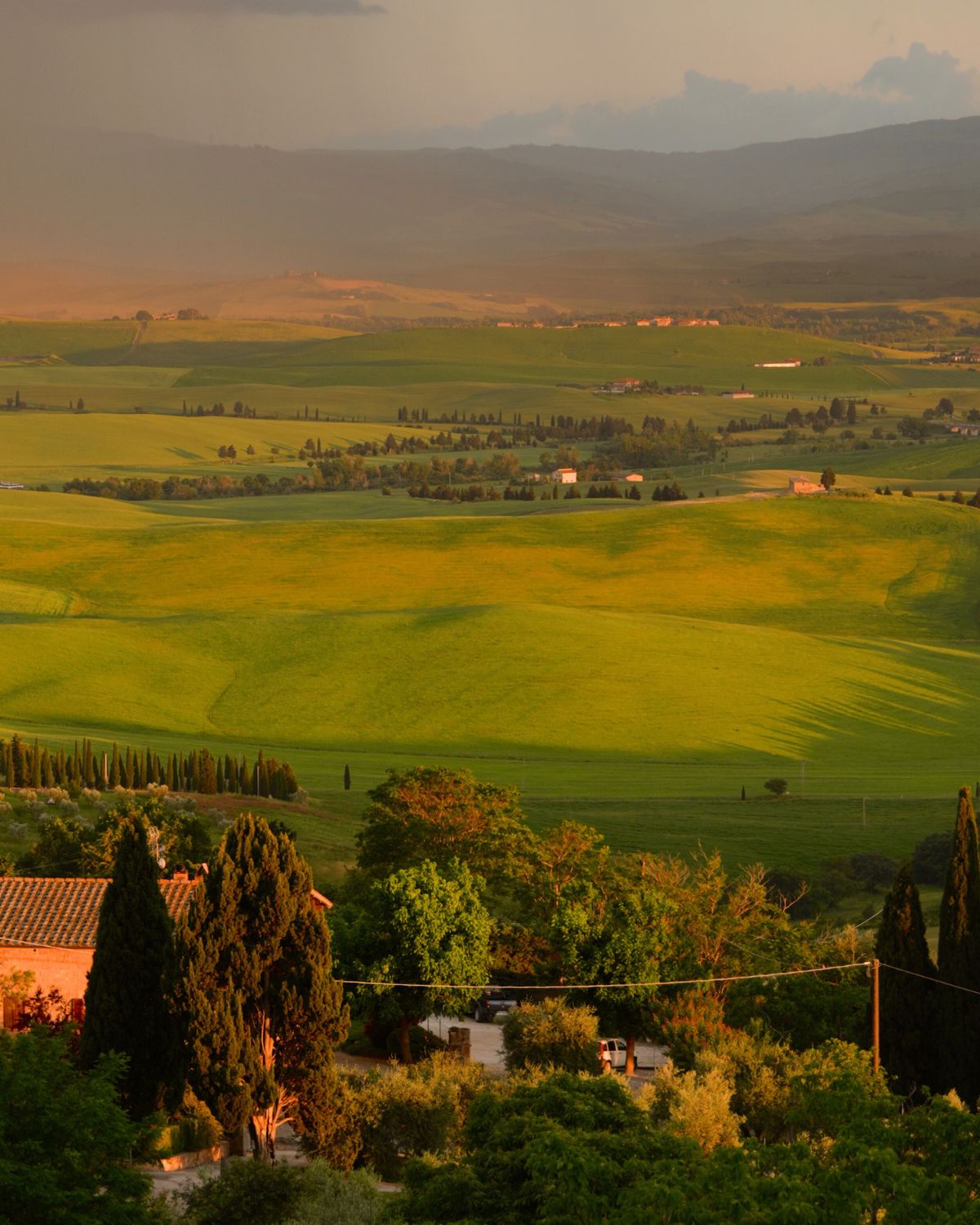 Golden valleys seen from a hilltop, with several trees and houses.