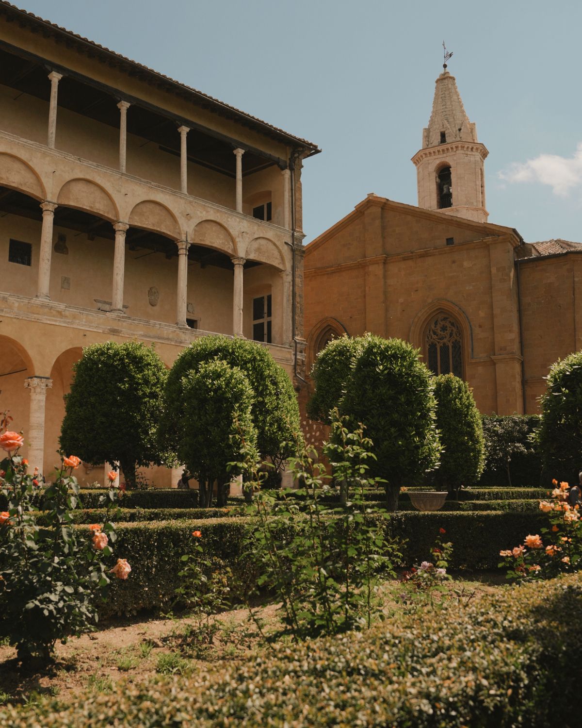 Garden with roses, bushes and trees, in front of a church and a old building with arches.
