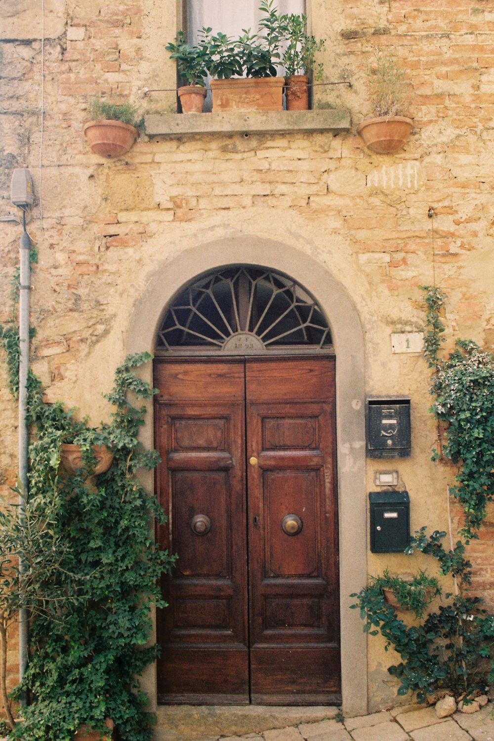 Wooden door on a cobbled stone house, with climbing plants and dark green mail boxes.
