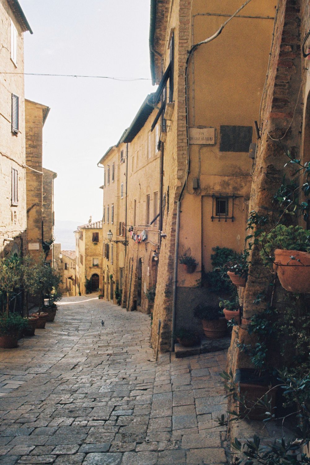 Yellow houses with hanging and climbing plants, on a stone path.