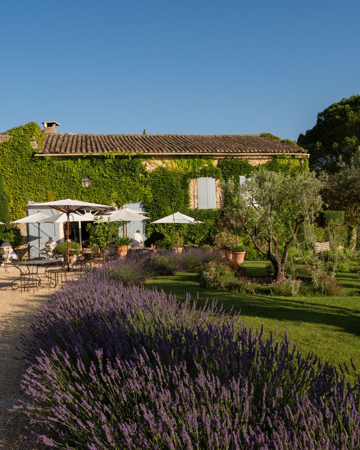 Cobble stone house with light blue shutters, wisteria, lavender and white sunshades outside, with iron tables and chairs.