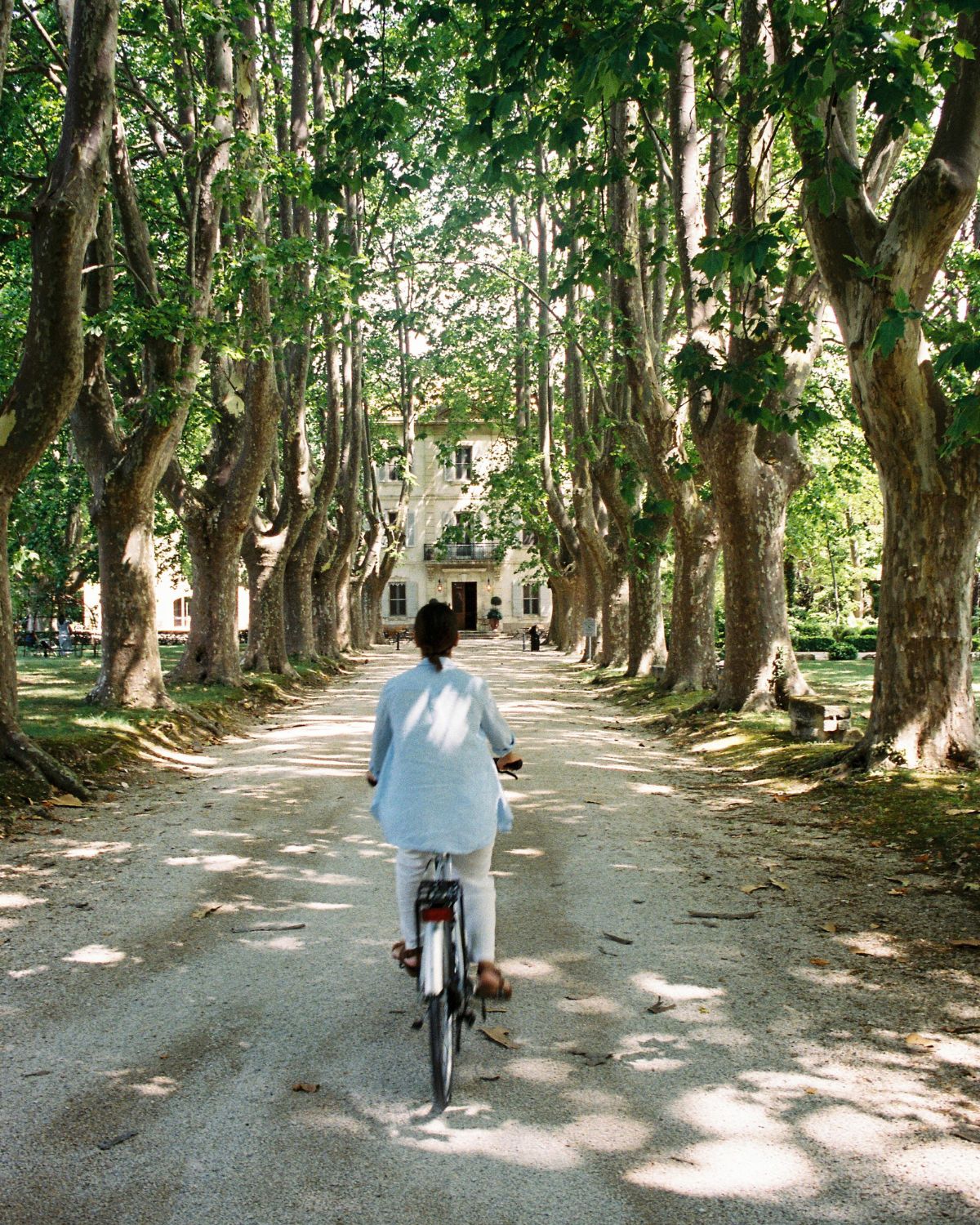 Woman riding a bike, over a dirt floor, over several high trees, with a cream facade house in the background.