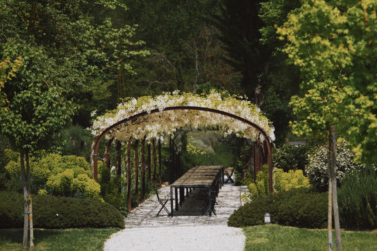 White flowers climbing several arches, on a white sone path, surrounded by luscious green trees and bushes.