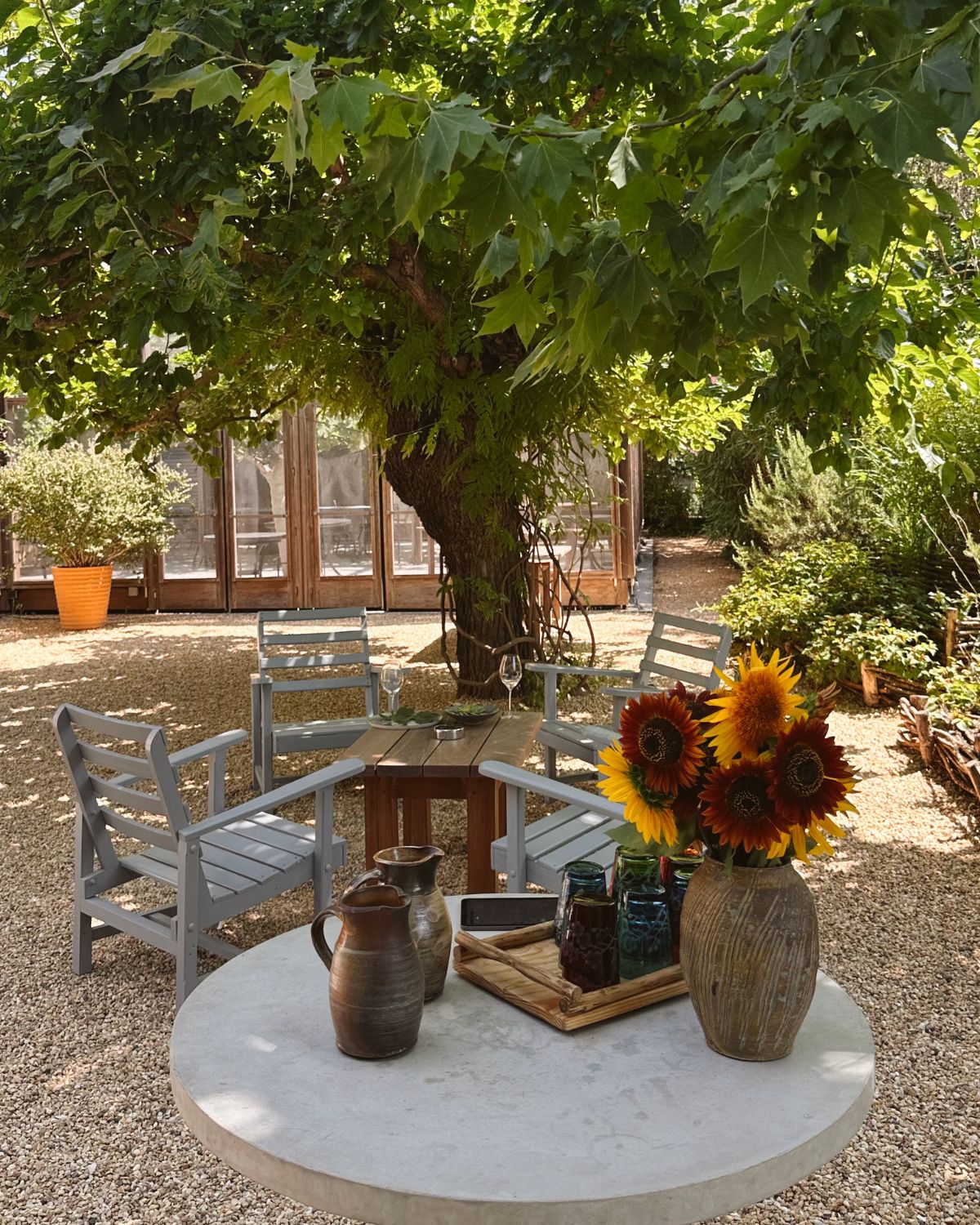 Outdoor wooden setting, next to an old and large green tree and a green house.