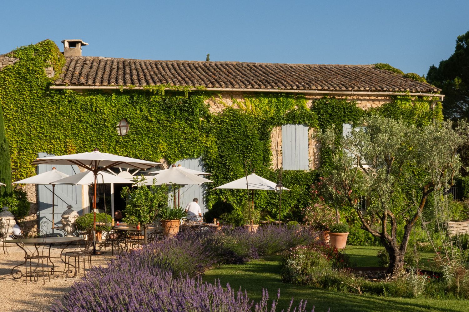 Cobble stone house with light blue shutters, wisteria, lavender and white sunshades outside, with iron tables and chairs.